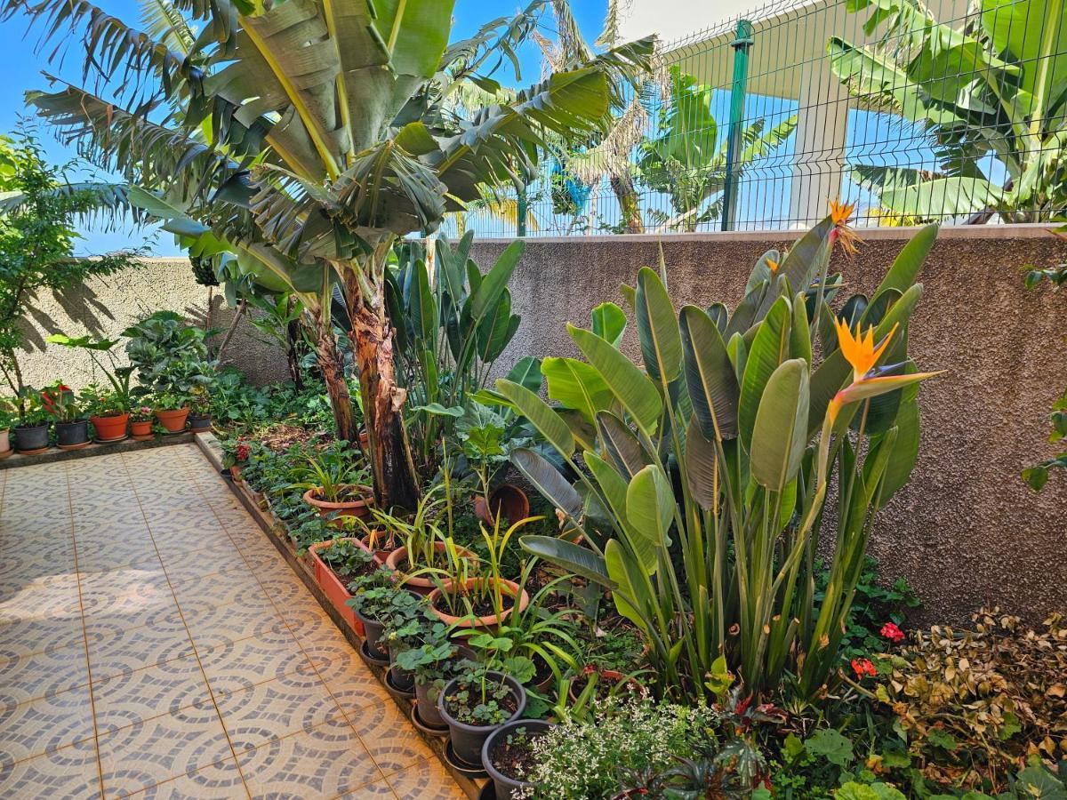Casa De Feria Do Livramento Villa ฟุงชาล ภายนอก รูปภาพ